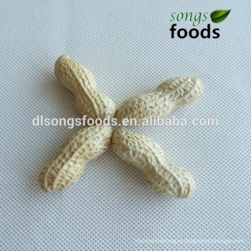 Importar exportar maní en alibaba